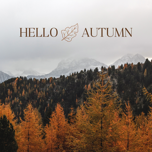 The 2025 Autumn Wallpaper Collection